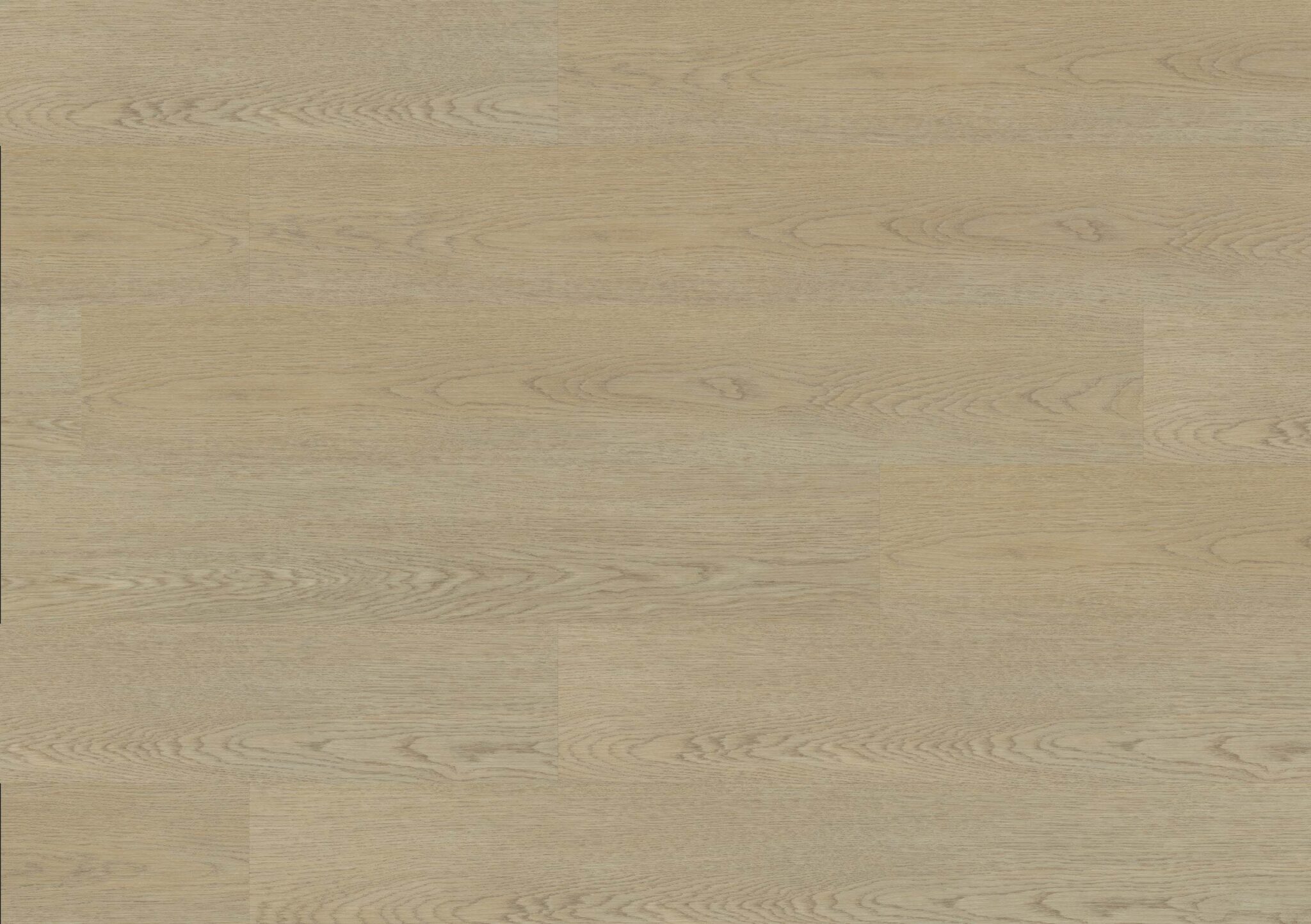 PW5020 FS55 web
